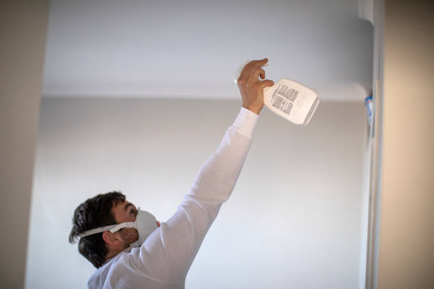 Best Professional Mold Removal  in Cherry Valley, CA