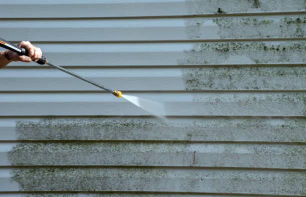Best Attic Mold Removal  in Cherry Valley, CA